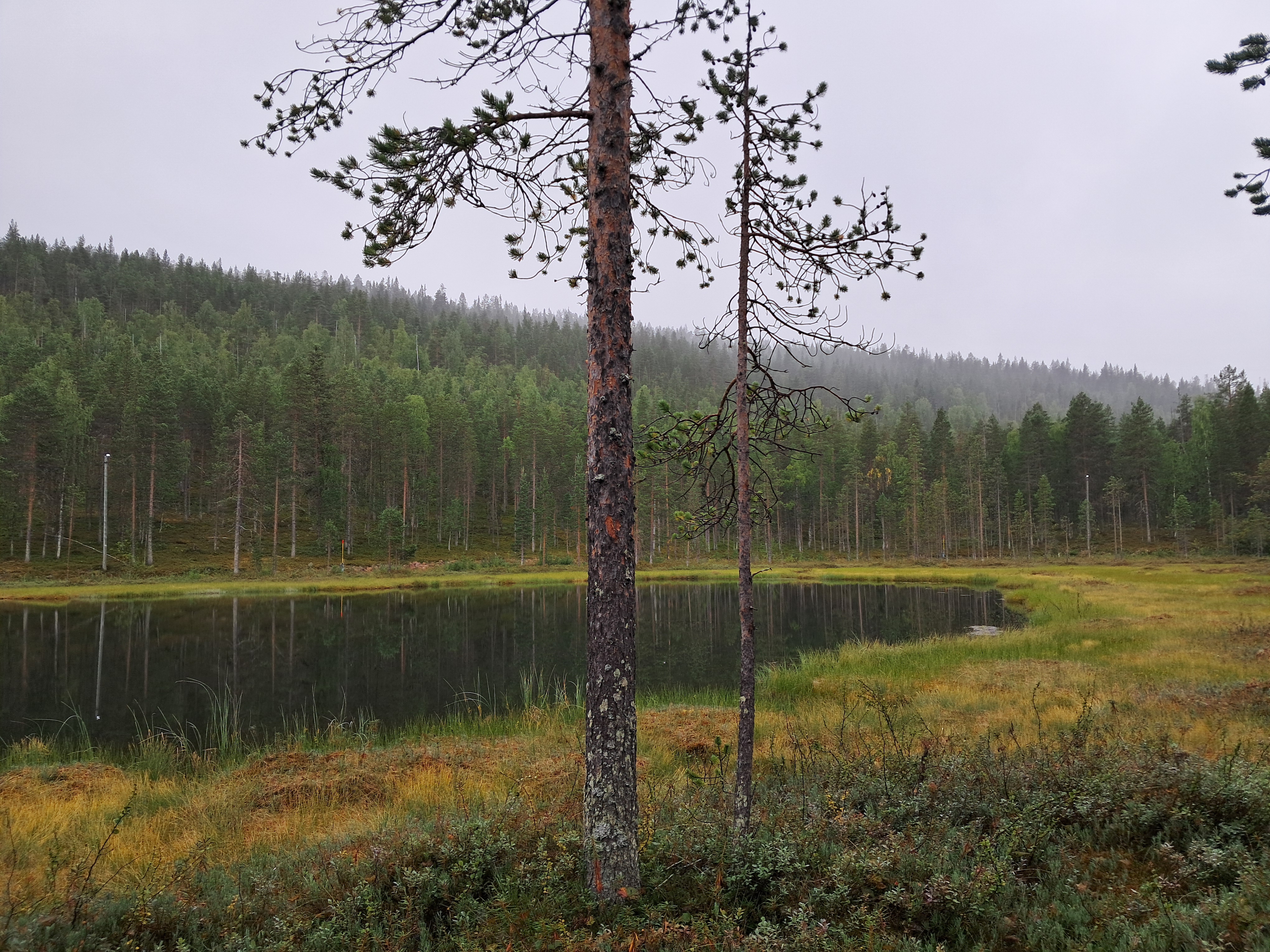 Kuvassa Levin tunturimaista maisemaa.