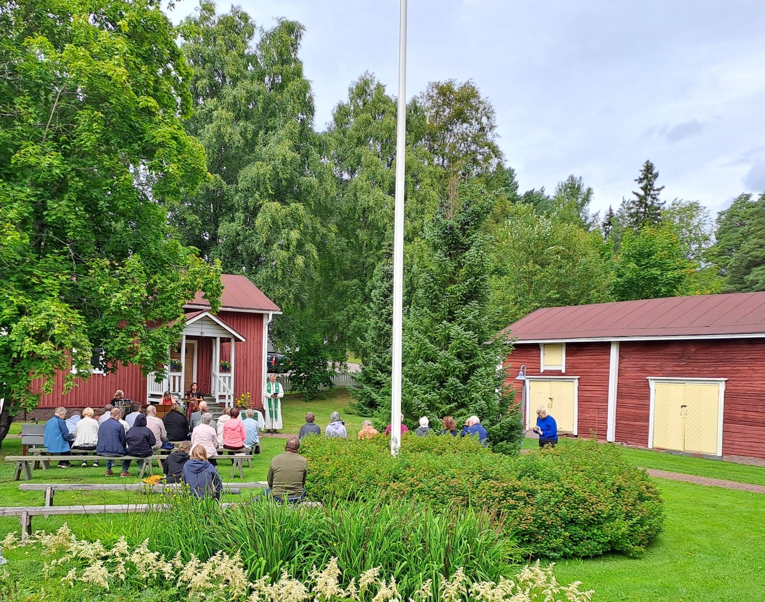 Viikon jutun kuva.jpeg