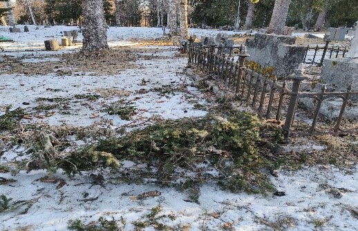 hautausmaa, havuja maassa ja rauta-aita haudan ympärillä.