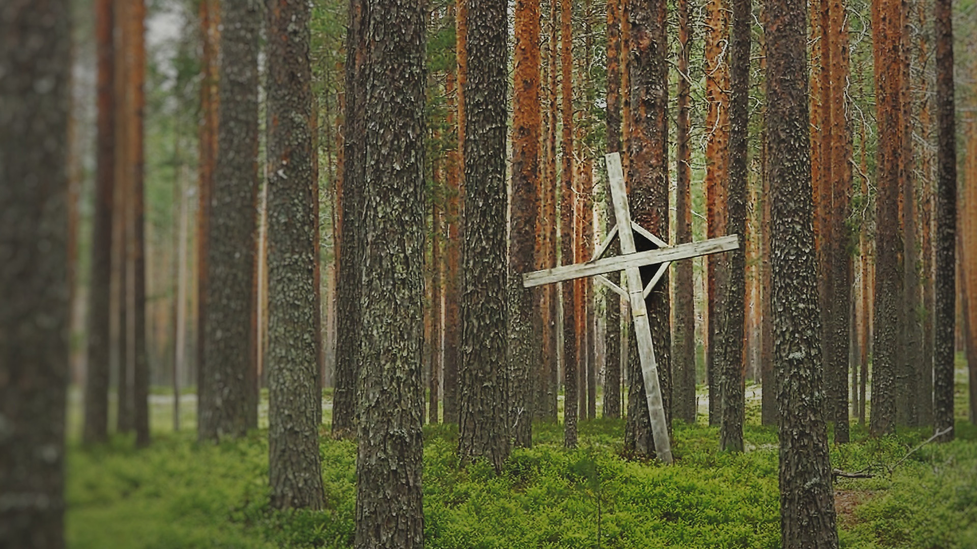 Puinen muistoristi metsässä