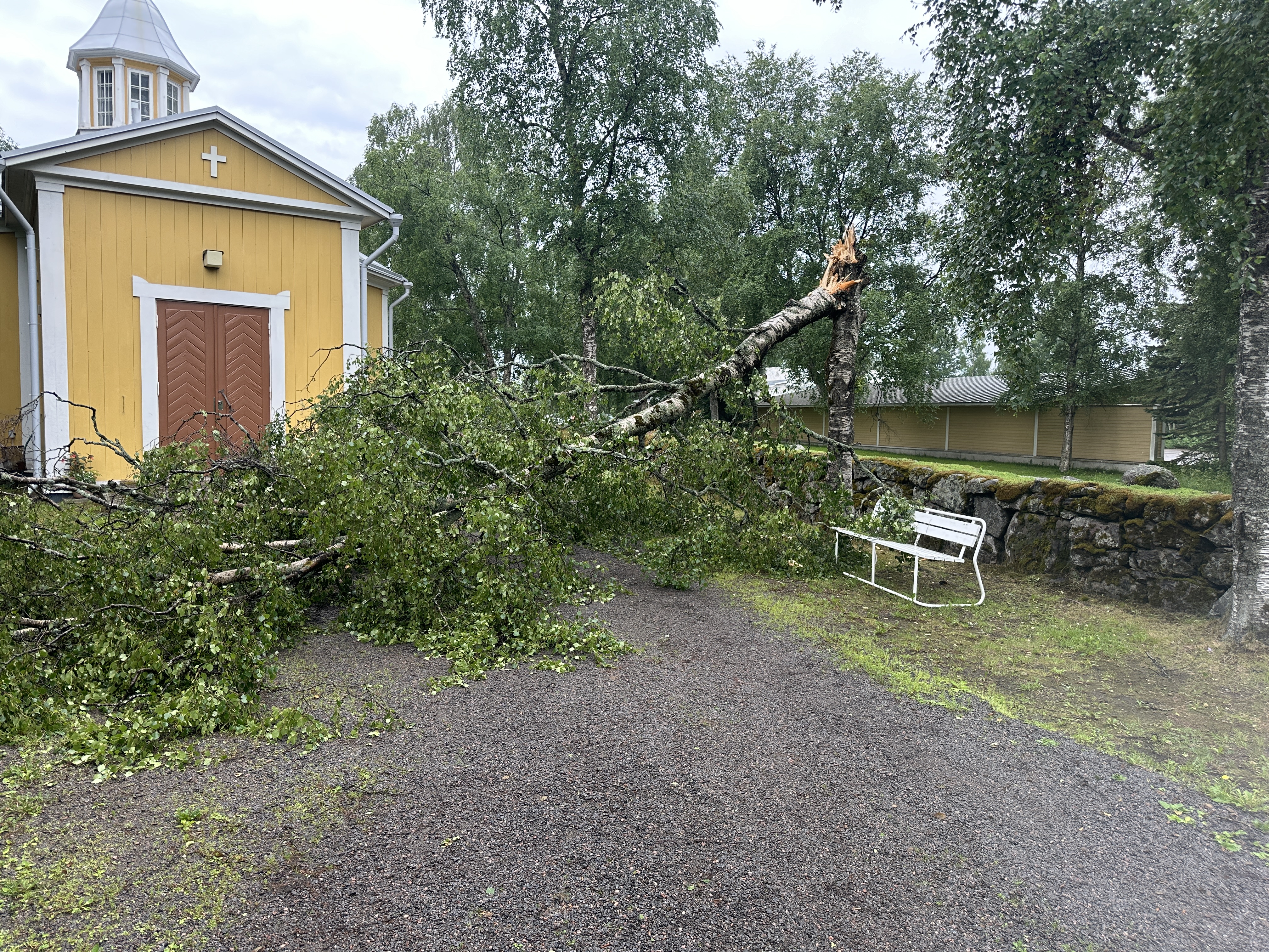 Kuvassa on laho puu, joka on kaatunut Haaralan hautausmaalla siunauskappelin oven eteen.