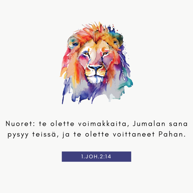 Nuorten Raamis Nuori