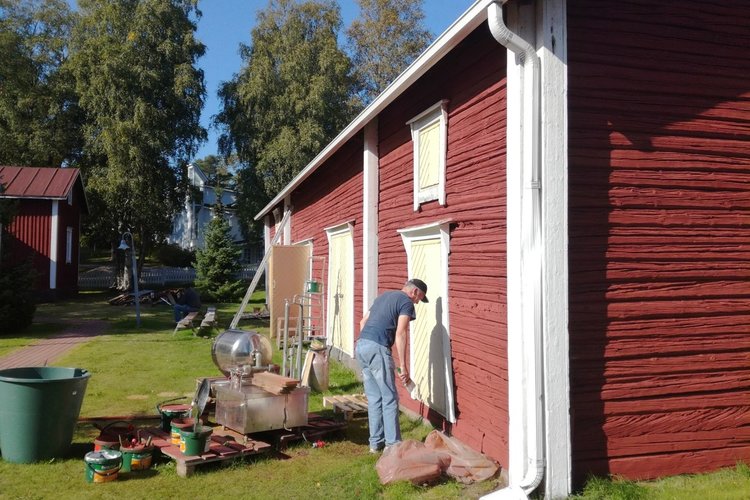 Pattijoki